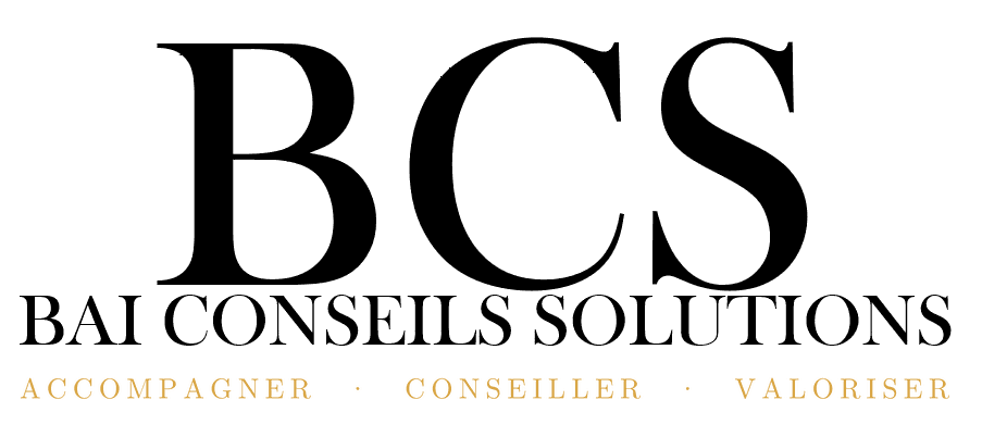 BAI Conseils Solutions, accompagner conseiller valoriser